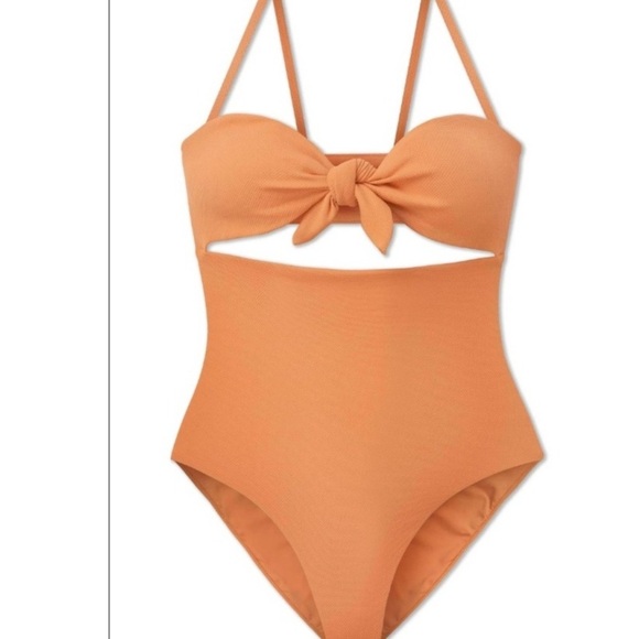 NWT WET Swimwear Krista One Piece in Terracotta - Picture 12 of 13
